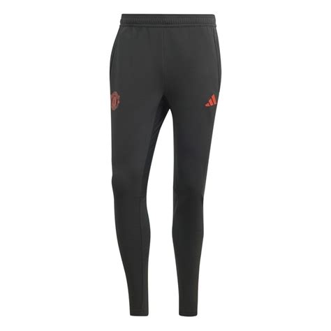 6 Best Training Pants for 2024